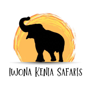 logo_iwona_top