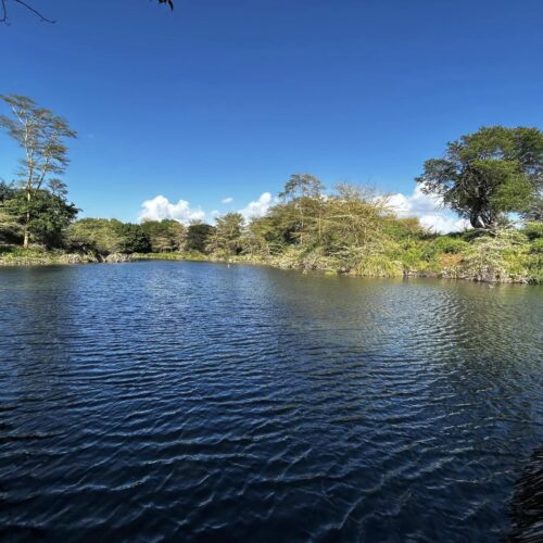 Tsavo East i&nbsp;Tsavo West