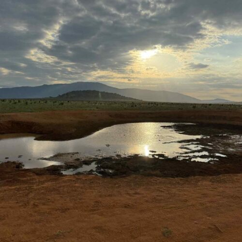 Safari Amboseli i&nbsp;Tsavo East + wypoczynek na Diani Beach