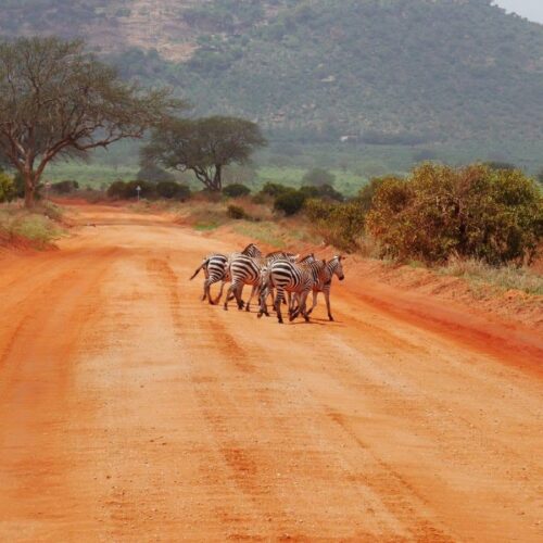 Tsavo East z&nbsp;Malindi