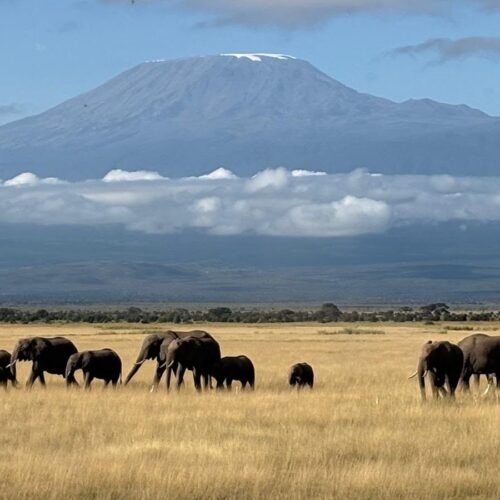 3 dni — Amboseli i&nbsp;Taita Hills